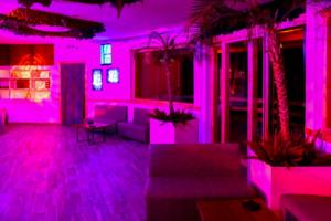 garden-eden-experience-02