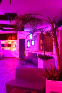 garden-eden-experience-03