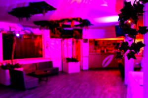 garden-eden-experience-10