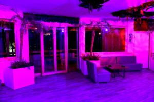 garden-eden-experience-12