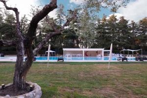 festa-privata-piscina-nomentana-roma-green-pool